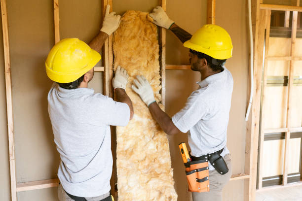 Best Basement Insulation  in Alvord, TX